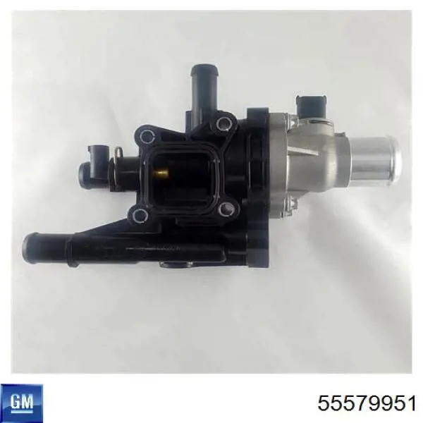 Caja del termostato Chevrolet Cruze J300