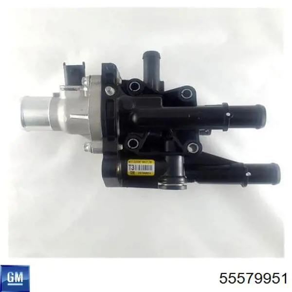 Caja del termostato Chevrolet Cruze J300