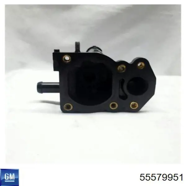 Caja del termostato Chevrolet Cruze J300