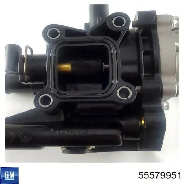 Caja del termostato Chevrolet Cruze J300