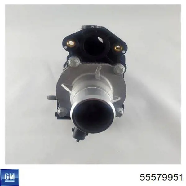 Caja del termostato Chevrolet Cruze J300