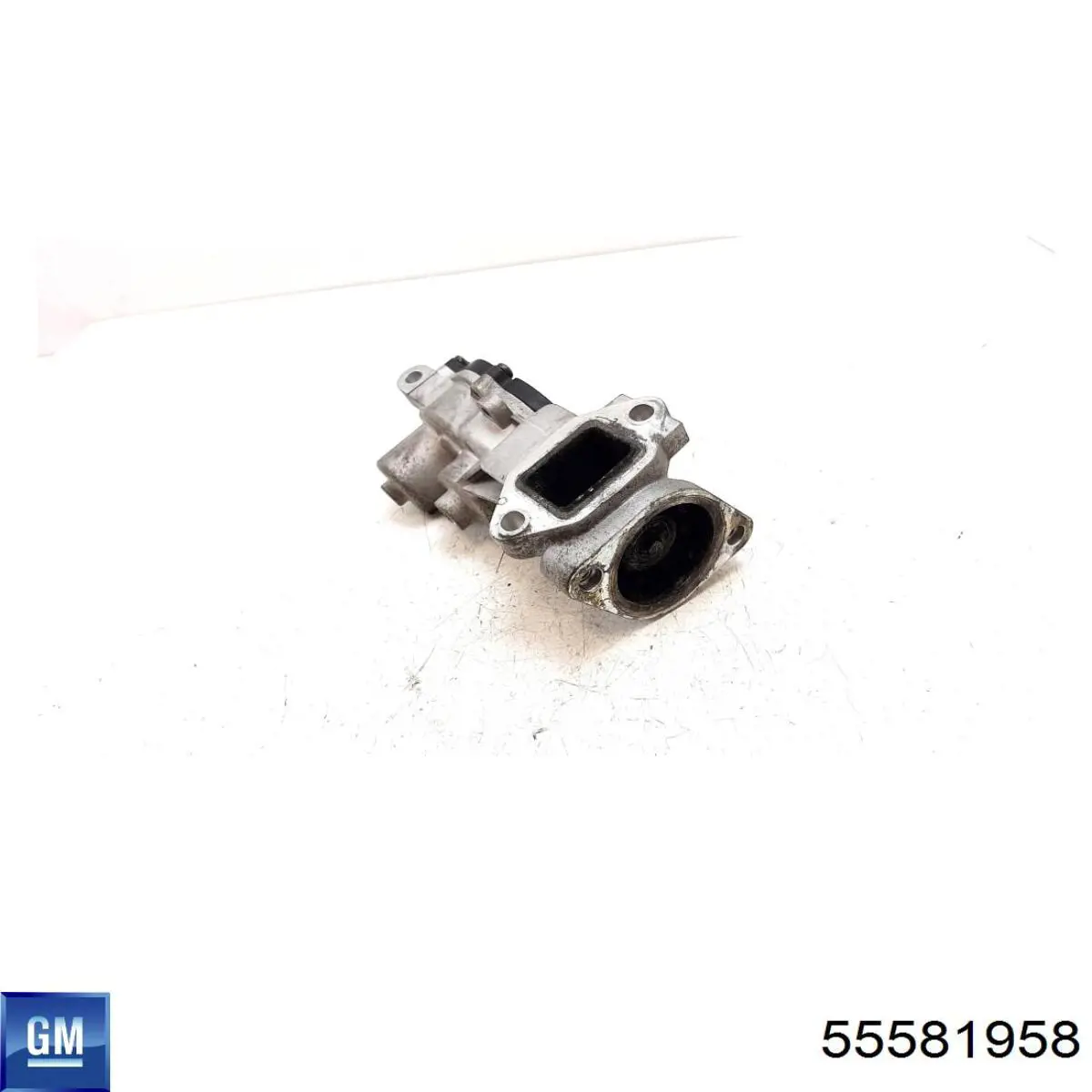 Válvula EGR 555339 ERA