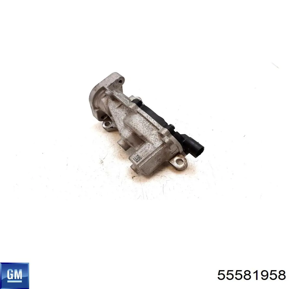 Comprar 555339 ERA Válvula EGR