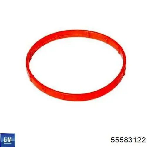 Anillo de sellado del conducto EGR 55583122 General Motors