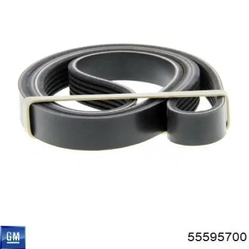 Correa de alternador 55595700 General Motors