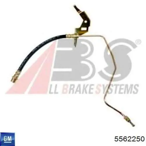 5562250 General Motors tubo flexible de frenos trasero derecho