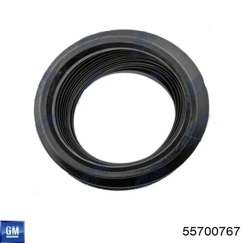 Fuelle, amortiguador delantero 55700767 General Motors