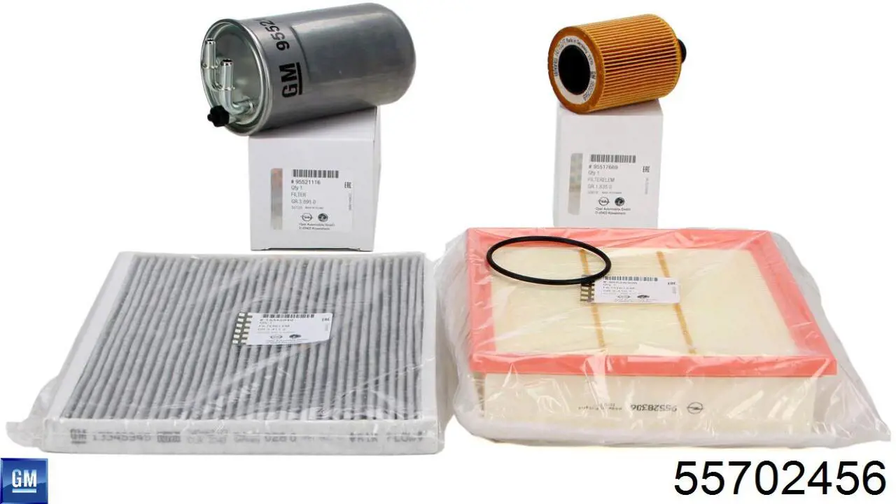 Filtro de polen General Motors 55702456