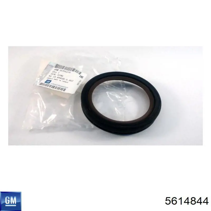 5614844 General Motors Anillo retén cigüeñal