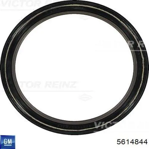 Retén del cigüeñal General Motors 5614844 precio, desde 8,50 EUR