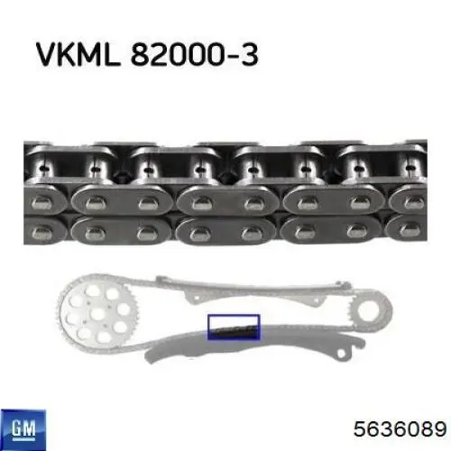 Tensor de cadena de distribución General Motors 5636089