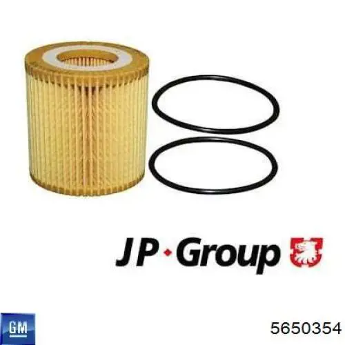 Filtro de aceite motor General Motors 5650354