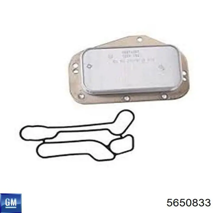 Comprar 5650833 General Motors Radiador de aceite
