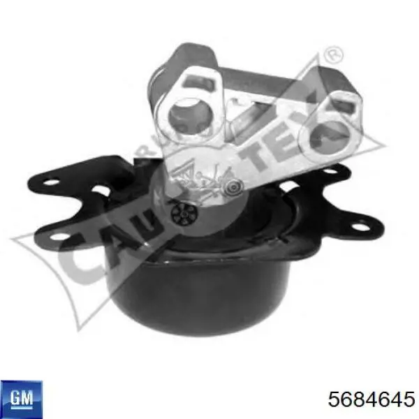 Soporte izquierdo del motor 5684645 General Motors