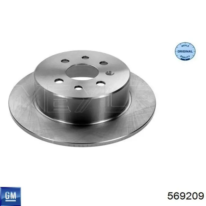 Disco de freno trasero 569209 General Motors
