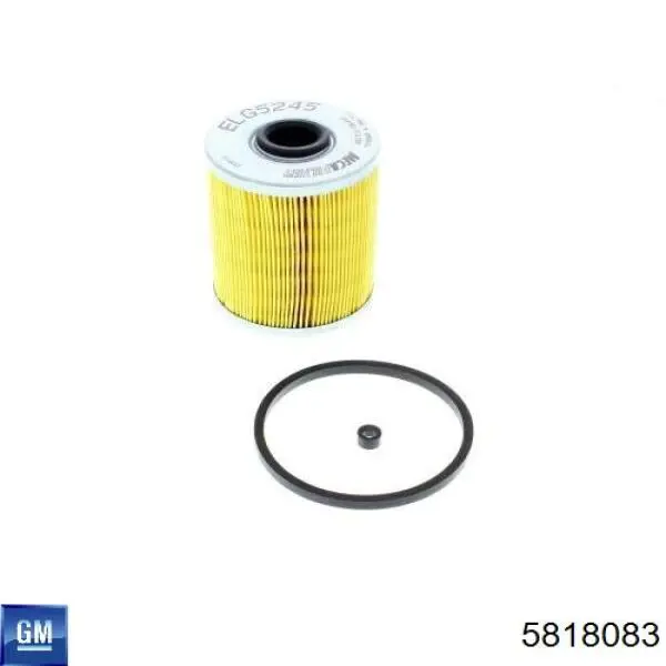 Filtro combustible General Motors 5818083 precio, desde 7,10 EUR