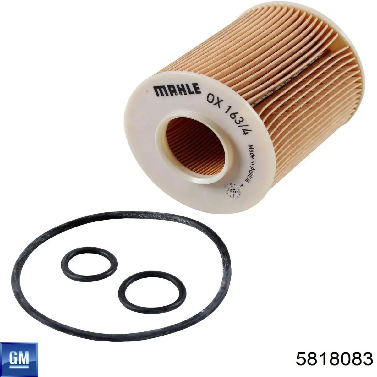 5818083 General Motors Filtro de gasolina