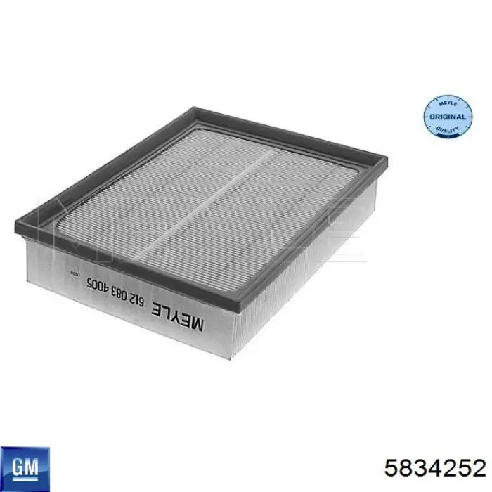 5834252 General Motors filtro de aire