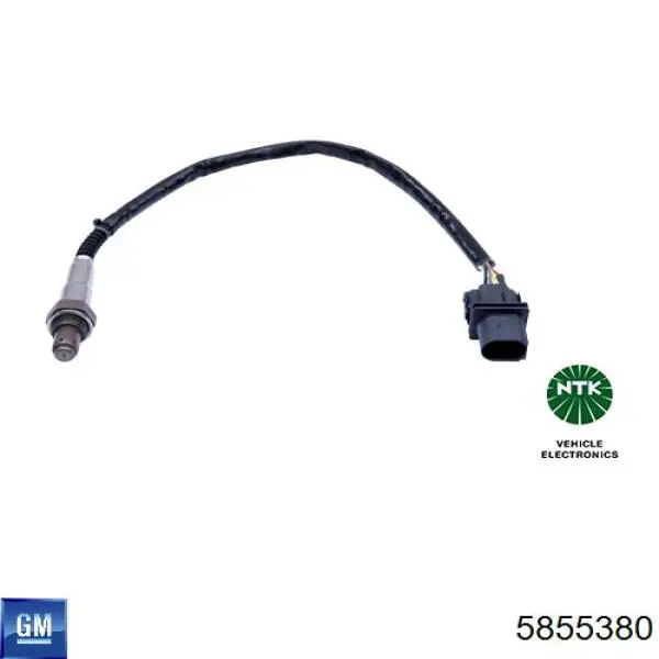 5855380 General Motors sonda lambda sensor de oxigeno para catalizador