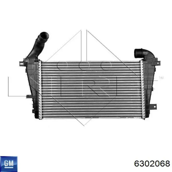 6302068 General Motors Radiador de intercooler