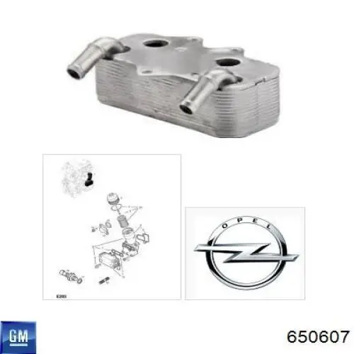 Comprar 650607 General Motors Radiador de aceite