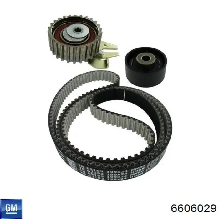 Comprar 6606029 General Motors Kit de correa de distribución