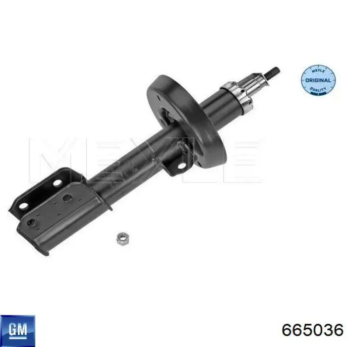 Amortiguador delantero Opel Astra F69