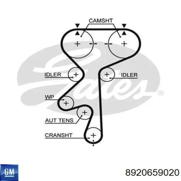 8920659020 General Motors correa distribucion