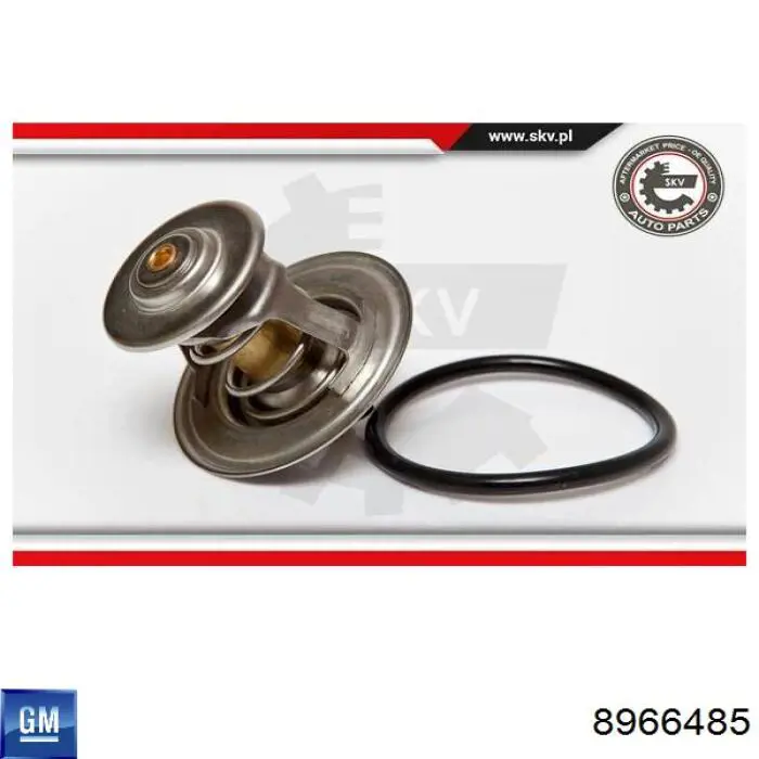 Termostato General Motors 8966485 precio, desde 10,41 EUR