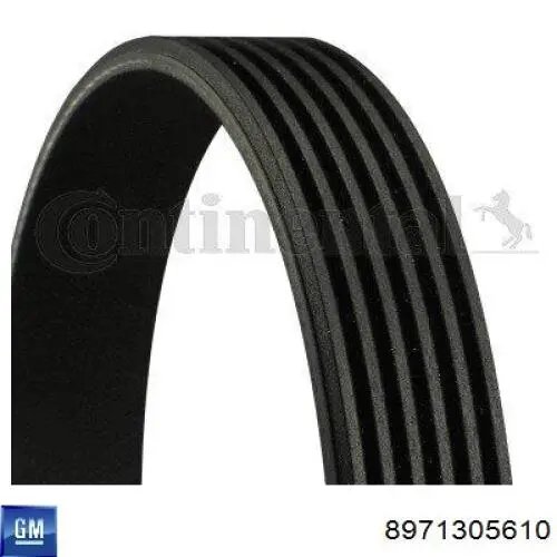 Correa de alternador 8971305610 General Motors