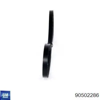 Correa de alternador 90502286 General Motors
