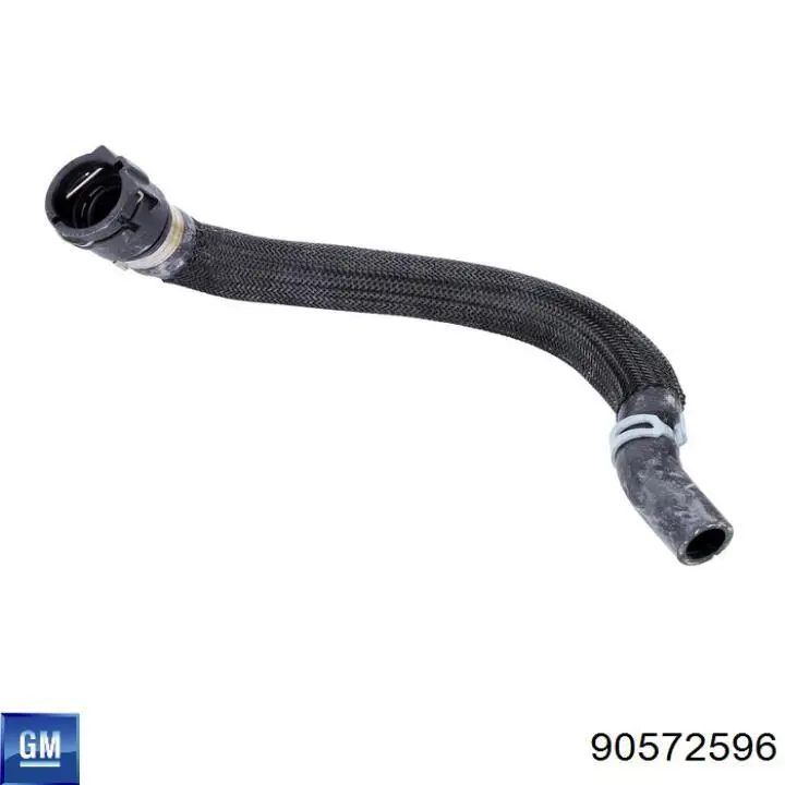 Comprar 90572596 General Motors Abrazadera de resorte