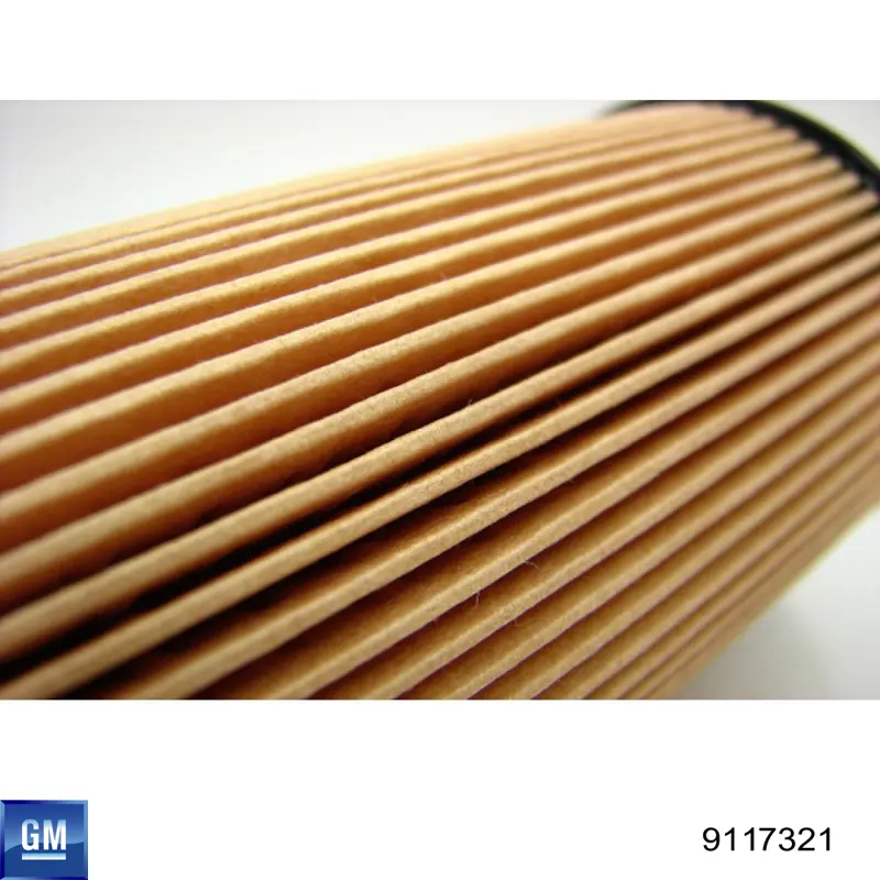 Filtro de aceite 9117321 General Motors