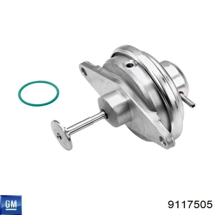 9117505 General Motors Válvula EGR