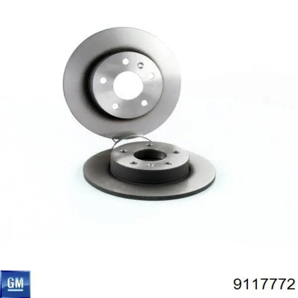 Disco de freno trasero 9117772 General Motors