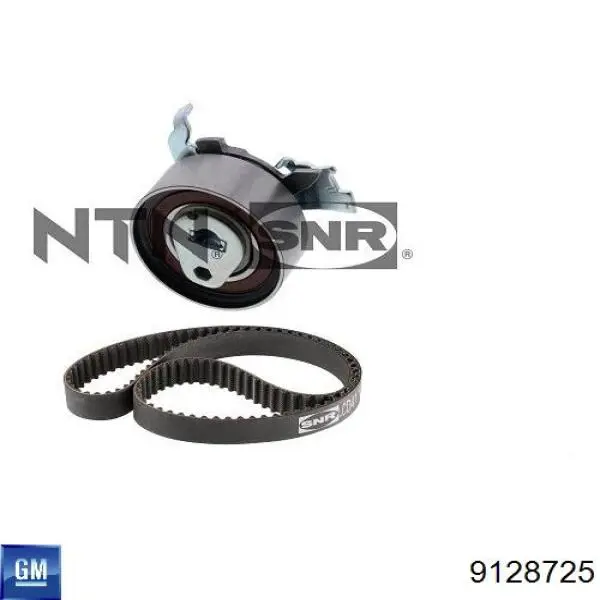 Correa de distribución General Motors 9128725 precio, desde 18,39 EUR