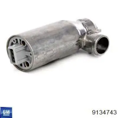 Válvula de mando de ralentí General Motors 9134743 precio, desde 59,45 EUR