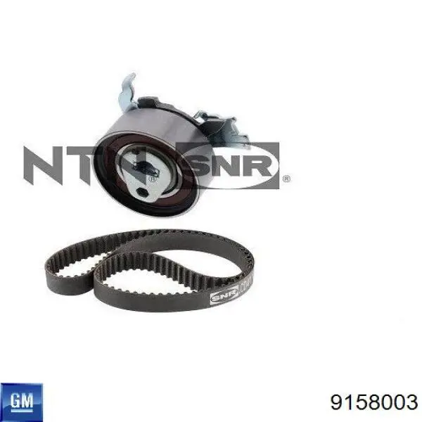 Tensor de la correa de distribución General Motors 9158003 precio, desde 28,23 EUR