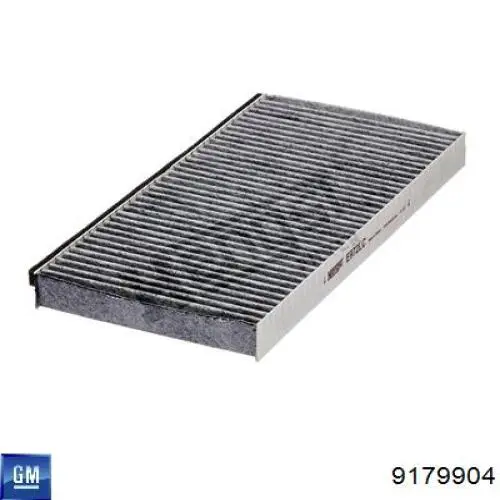 Filtro de habitáculo 9179904 General Motors