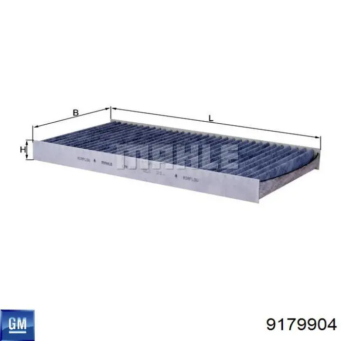 9179904 General Motors Filtro antipolen
