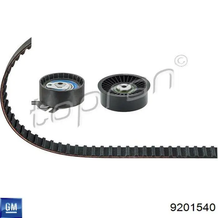 Rodillo intermedio de correa dentada Renault Master 2 HD, FD