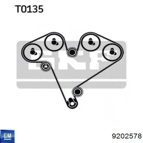 9202578 General Motors tensor, correa dentada