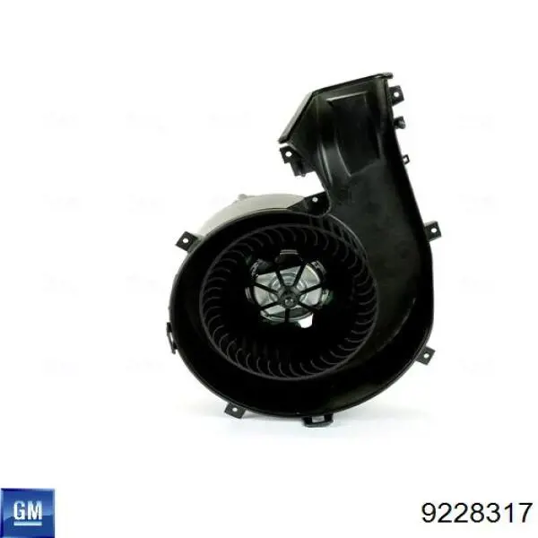 9228317 General Motors motor eléctrico, ventilador habitáculo