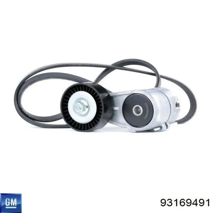 93169491 General Motors Correa poly v