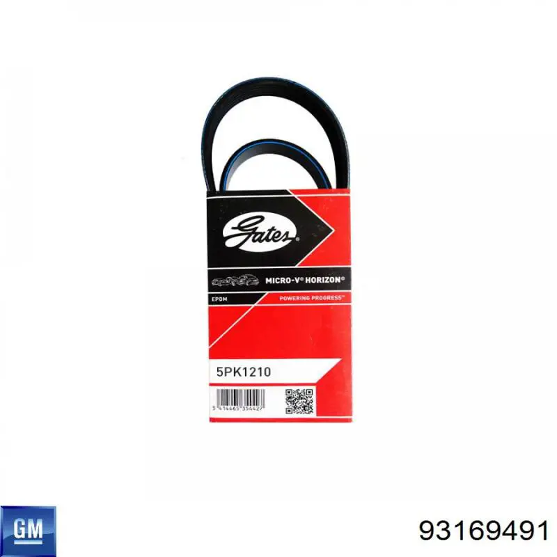 Correa de alternador 93169491 General Motors