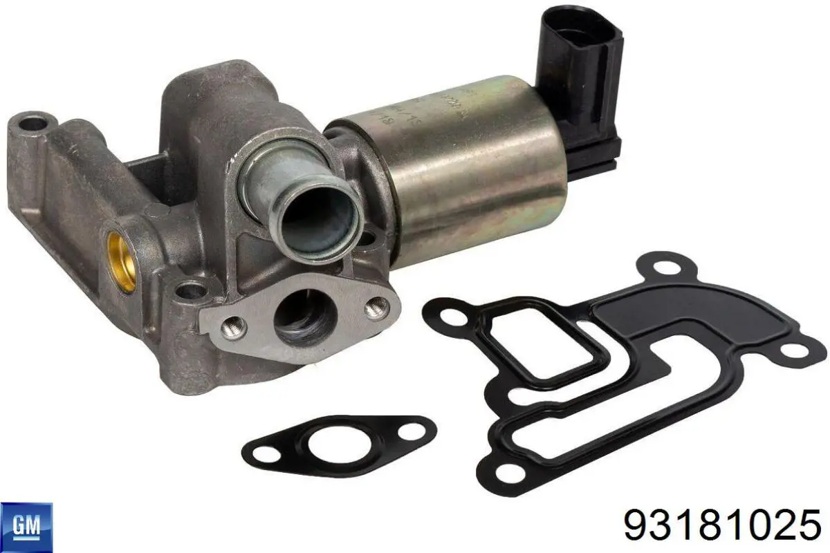 Cuerpo de aceleración completo General Motors 93181025 precio, desde 46,28 EUR
