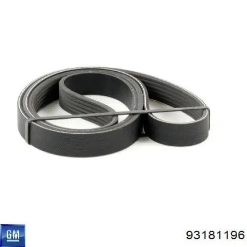 Correa de alternador 1011616 Ford