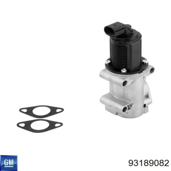 Comprar 93189082 General Motors Válvula EGR