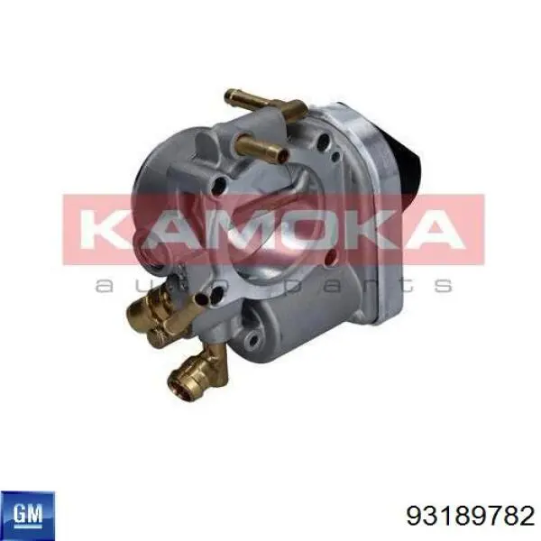 Cuerpo de mariposa 112019 Kamoka