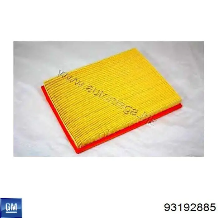 Filtro de aire 93192885 General Motors